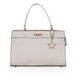 ladies handbag