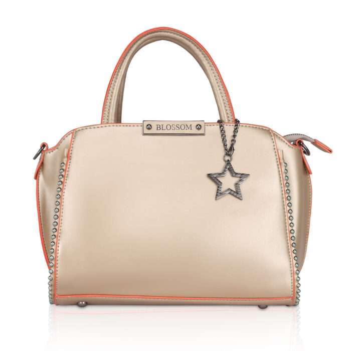 ladies handbag